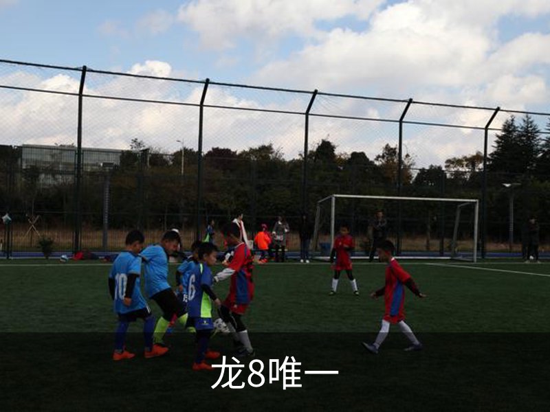 龙8唯一概况